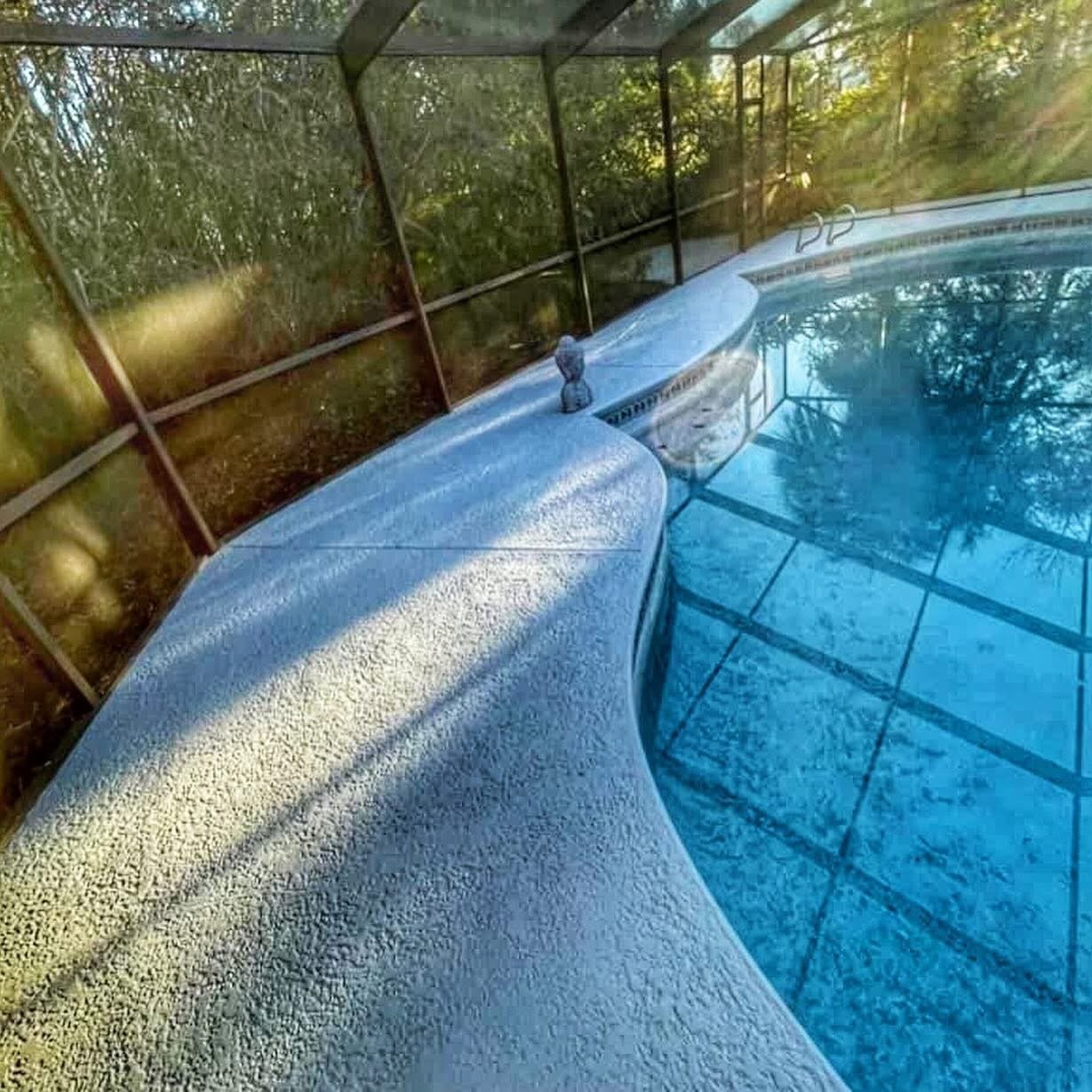 Backyard pool with screen enclosure and covered patio